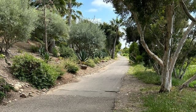 Bike path in need of repaving